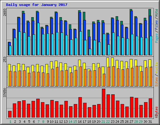 Daily usage for January 2017