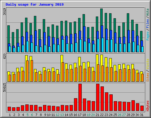 Daily usage for January 2019