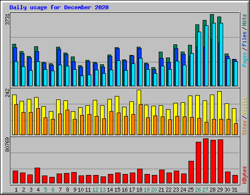 Daily usage for December 2020