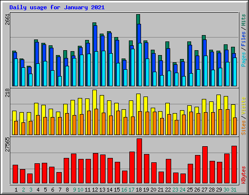 Daily usage for January 2021
