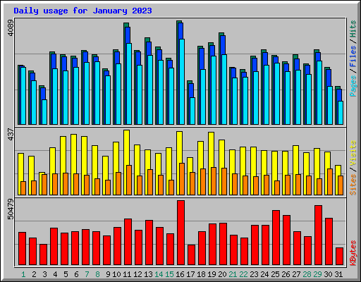 Daily usage for January 2023