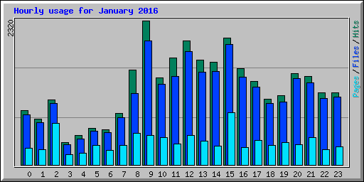 Hourly usage for January 2016