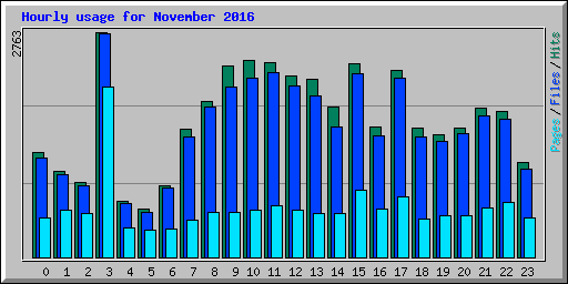 Hourly usage for November 2016