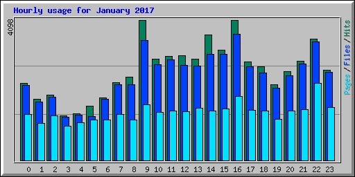 Hourly usage for January 2017