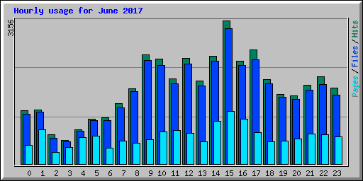 Hourly usage for June 2017