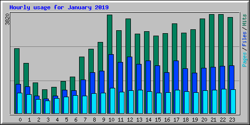 Hourly usage for January 2019