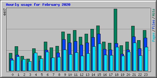 Hourly usage for February 2020