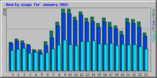 Hourly usage for January 2021