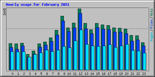 Hourly usage for February 2021