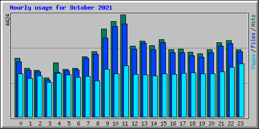 Hourly usage for October 2021