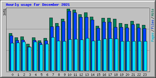 Hourly usage for December 2021