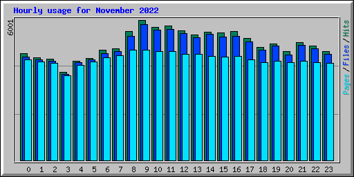 Hourly usage for November 2022