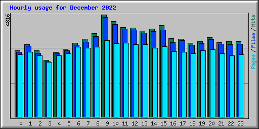 Hourly usage for December 2022