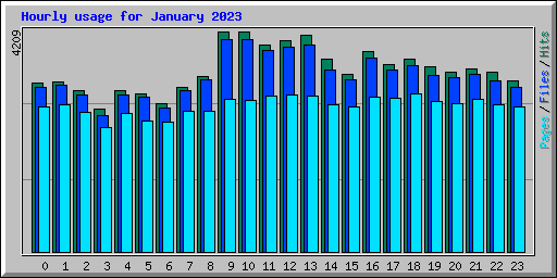 Hourly usage for January 2023
