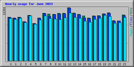 Hourly usage for June 2023